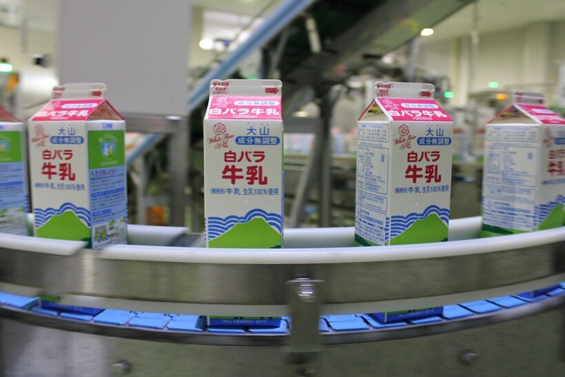 3　白バラ牛乳製造ライン02(大山乳業提供）.jpg