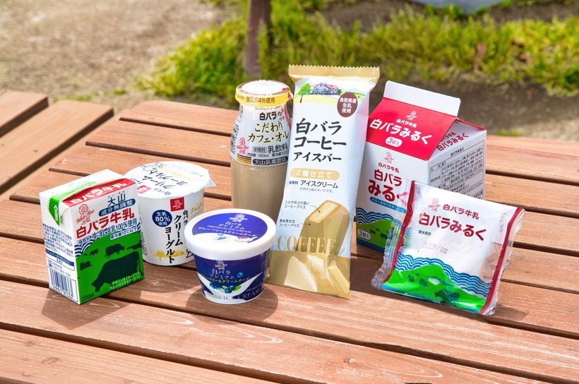 鳥取県民のソウルドリンク「白バラ牛乳」探訪