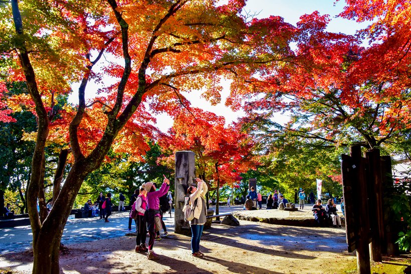 ⑫高尾山_2148.jpg
