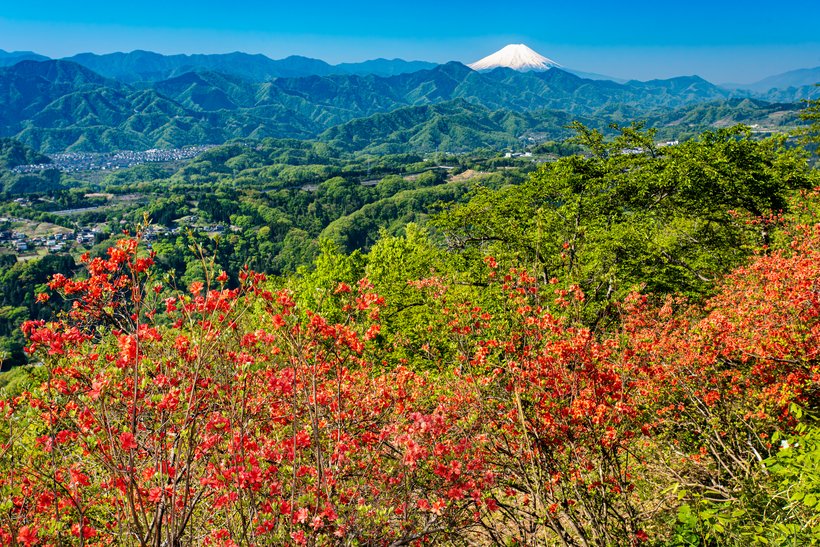 ⑦要害山_1254-NR.jpg