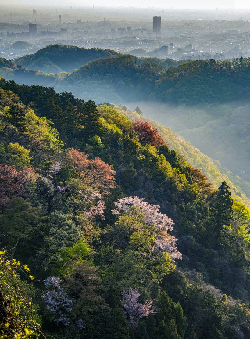 ⑩高尾山_0721a.jpg