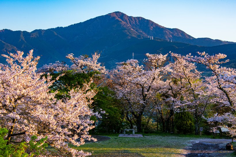 ②弘法山_0156.jpg