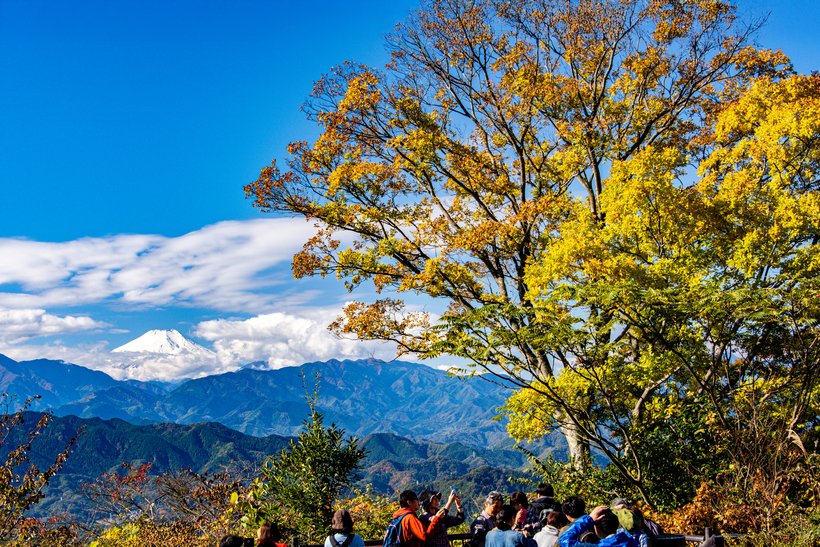 ⑪高尾山_2234.jpg