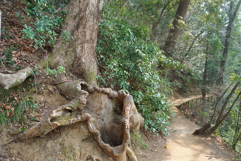 ⑧　DSC05950.jpg
