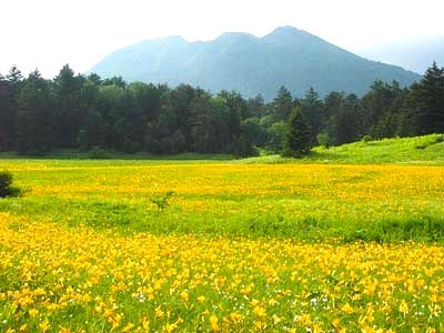 尾瀬号で手軽に尾瀬ハイクを