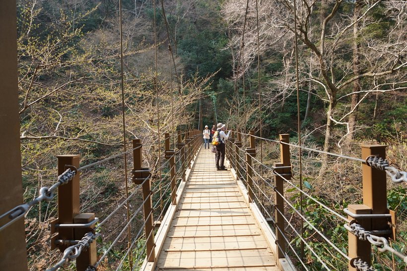 ⑦　DSC05851.jpg