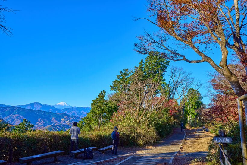 【低山と温泉へ】高尾山レベルアップコース 小仏峠~高尾山<標高 670m(城山)・歩行距離5.6km・歩行時間2時間20分(高尾山まで)>