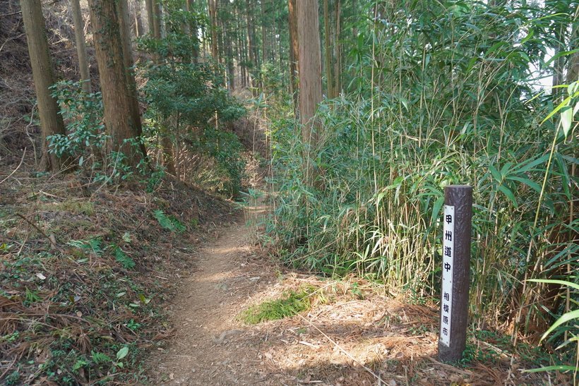 ②　1　DSC04370.jpg