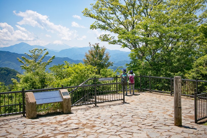 【低山と温泉へ】海外からも登山者が訪れる自然豊かな修験道の山　高尾山➀＜標高599m・歩行距離7km・歩行時間2時間30分＞