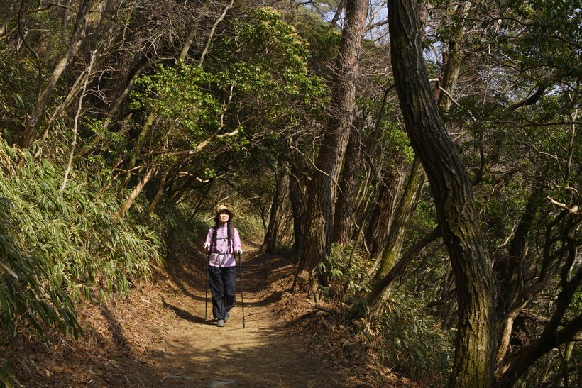 06●_DSC3265魚屋道.jpg