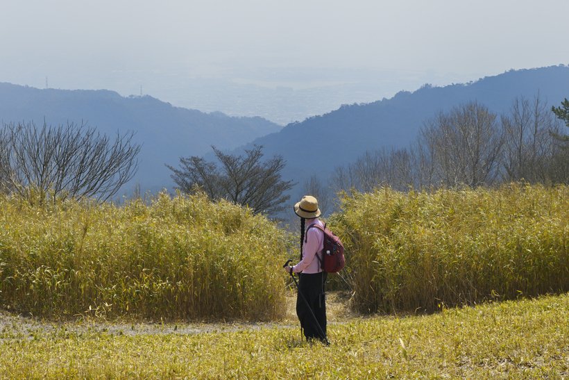 02●_DSC3066東おたふく山頂上手前の開けた所.jpg