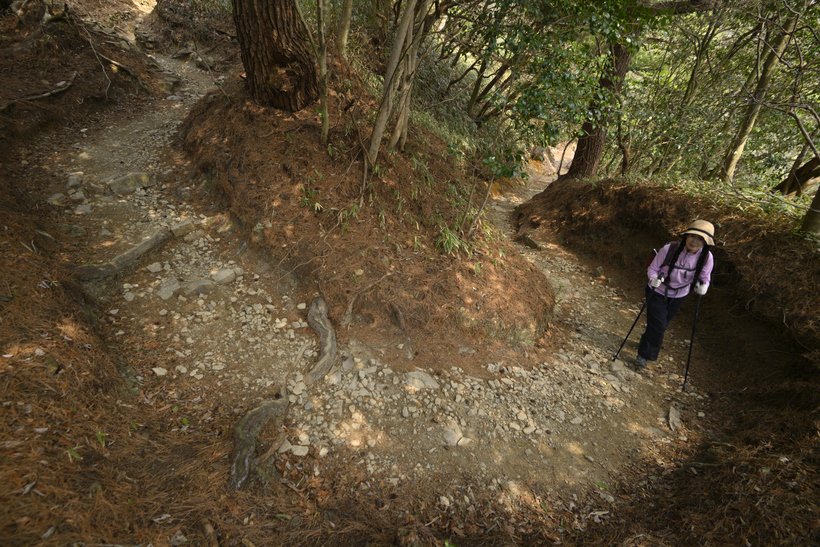 【低山と温泉へ】六甲山最高峰に立ち、名湯・有馬温泉につかる 六甲山(2)<標高931m・歩行距離10km・歩行時間3時間25分>