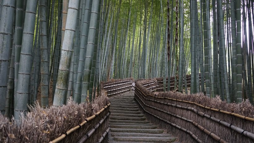 念仏寺_5.JPG