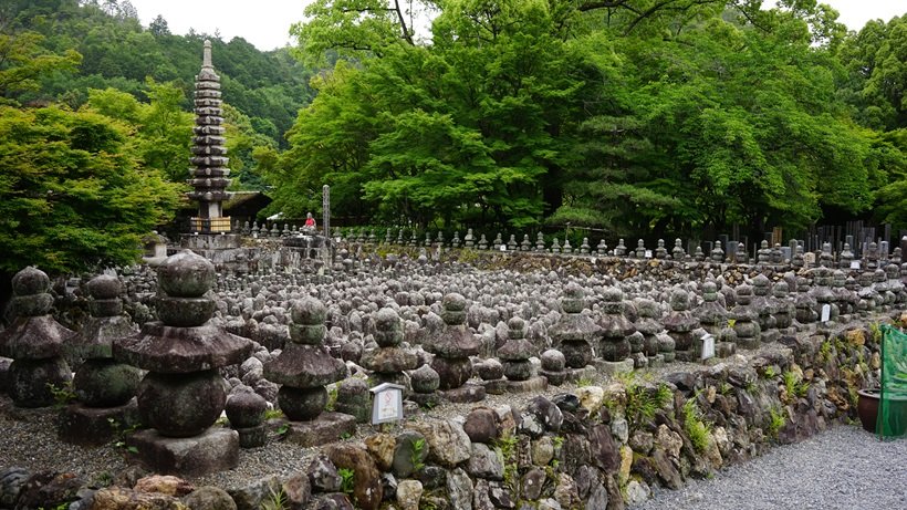 涼風が吹く奥嵯峨で、古社と名刹を訪ねる