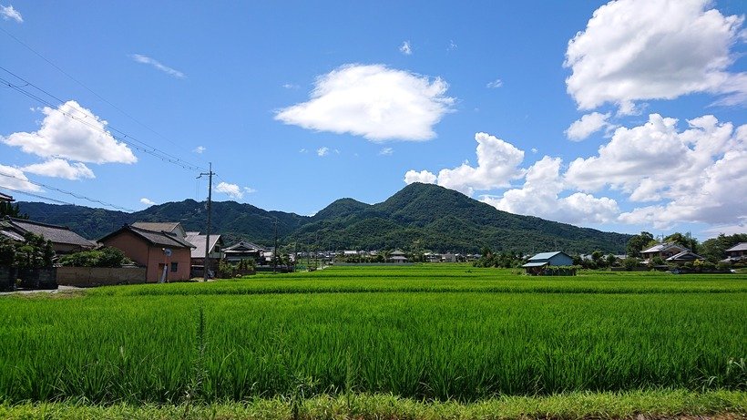 02●夏の二上山.jpg