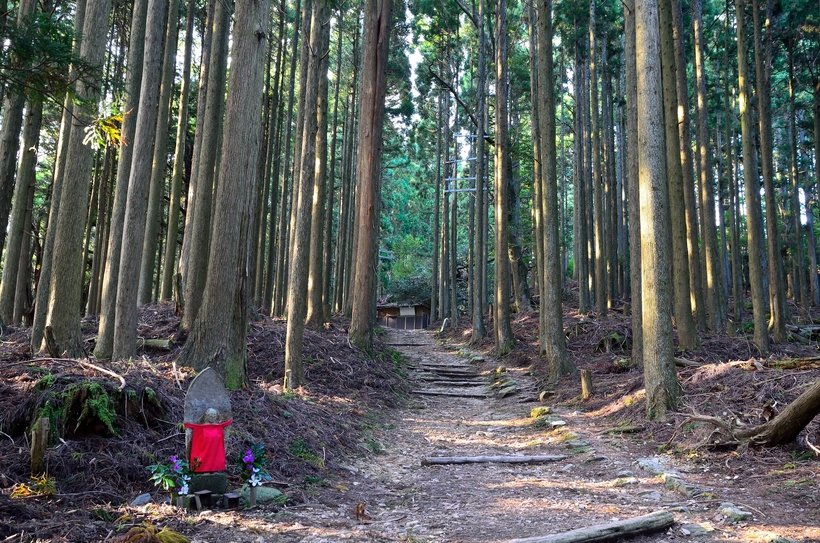愛宕山　pl-201387197266.jpg