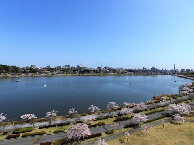 5　千波湖空撮.jpg