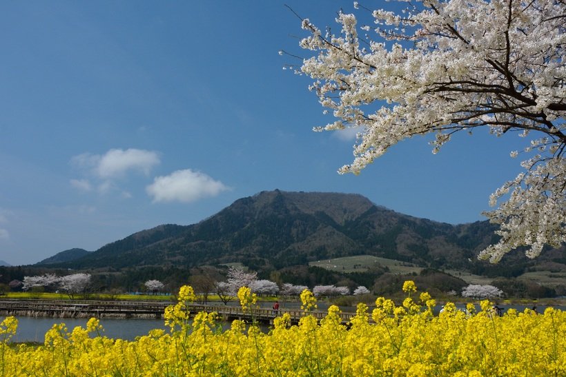 角田山（小）.jpg