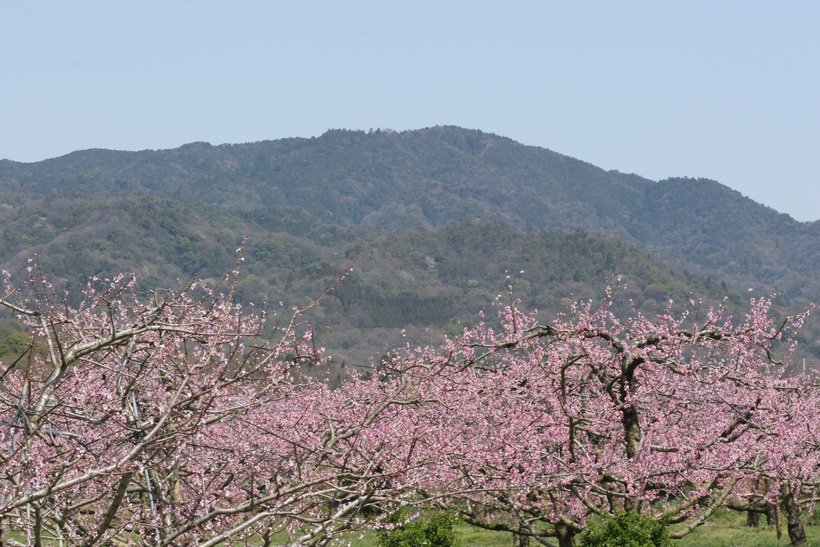 猿投山(小）jpg.jpg