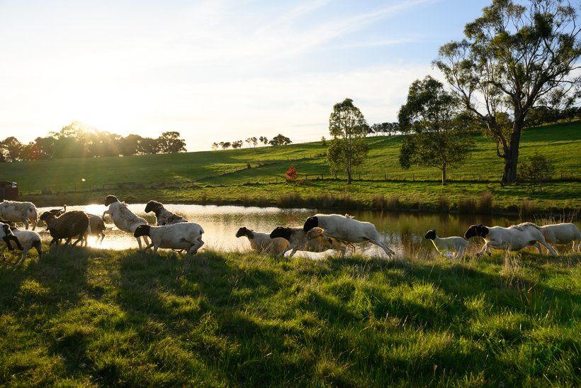 4　melbourne_204.jpg