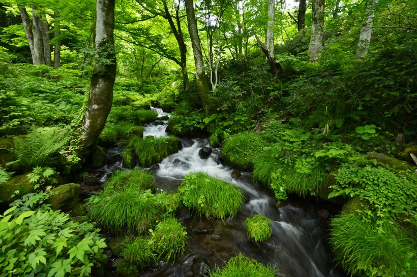 名水と涼景を求めて鳥取へ “ひんやり” 夏の大山山麓めぐり(1)