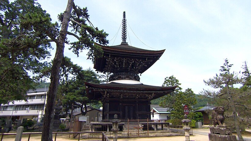 丹後くろまつ号に乗って、丹後の名刹を訪ねる