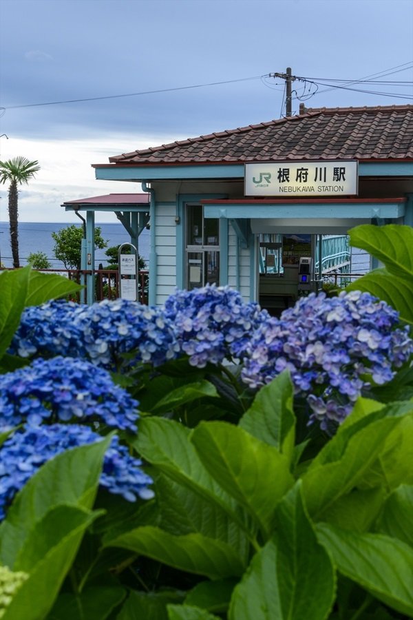 ２　越さん●根府川駅_104_6901東海道本線根府川駅.jpg
