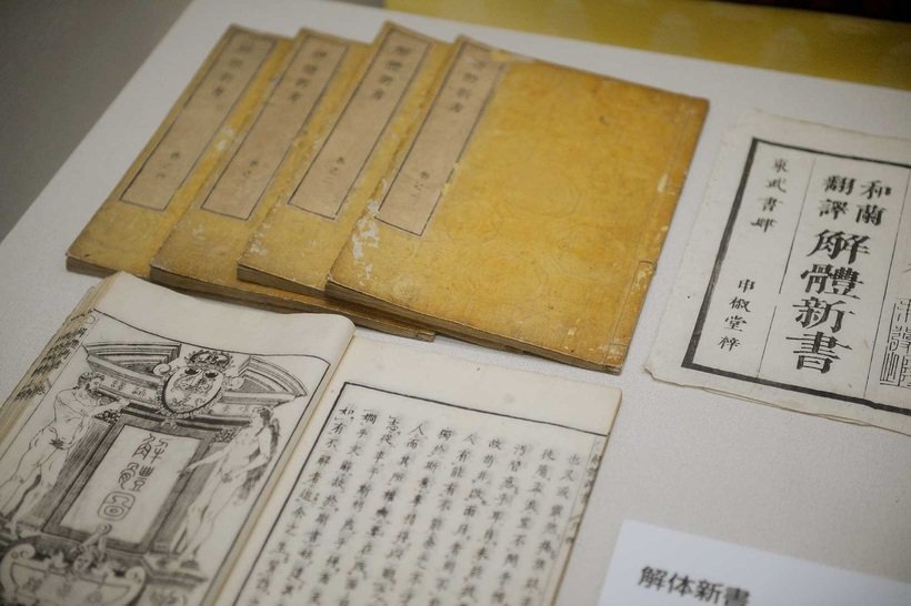 ⑩　解体新書8570.jpg