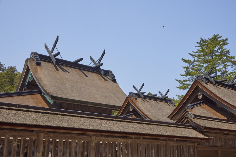 ④　250417-19_1214.jpg