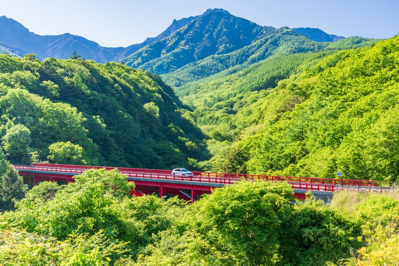 【新しい道の駅ドライブ】爽やか高原ドライブで、朝採れ野菜自慢の道の駅へ 道の駅八千穂高原<長野>