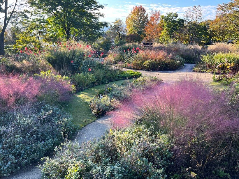 紅葉と秋の草花、秘湯も<中之条町>