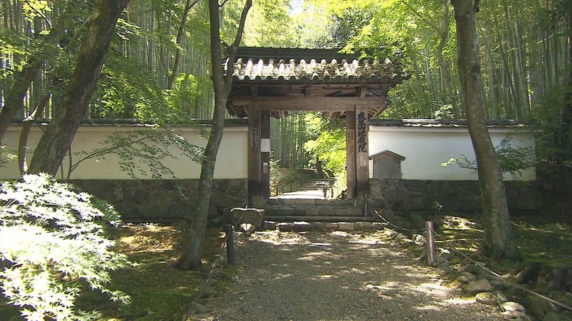 心をととのえる初秋の洛西旅
