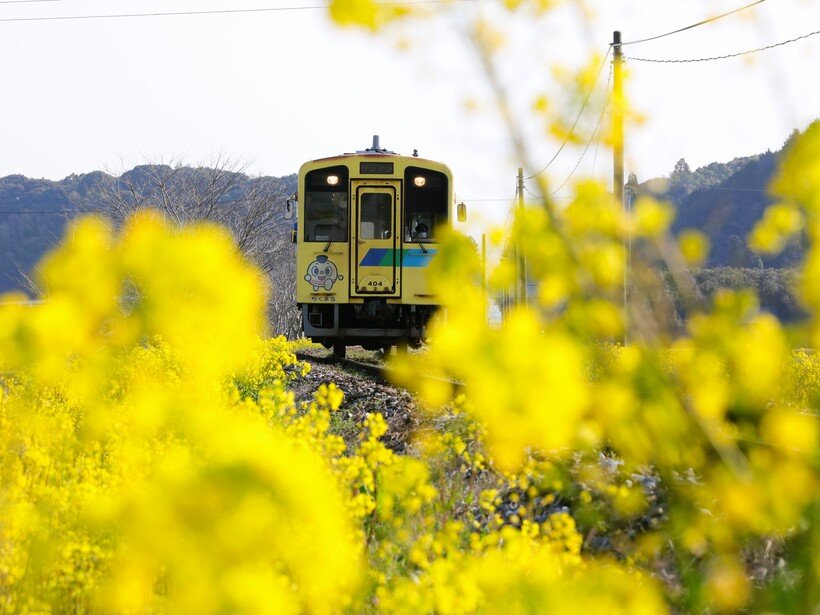 ９　２０２３，３，７崎山（北山）1K7A0160.jpg