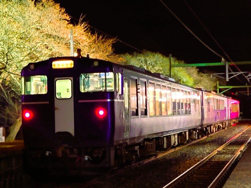 ４　夜桜ShuKura（2022）.jpg