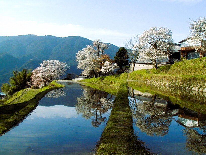 ６　959_1925_1_org【写真提供：三重県観光連盟】.jpg