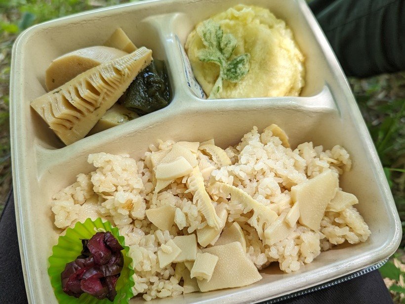 【春を味わう旅】絶対食べたい!春の北陸の味覚 内川のタケノコ、越前町の水ガニ
