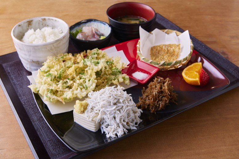 【春を味わう旅】かながわブランド“湘南しらす”を鎌倉・腰越港「しらすや」で味わう