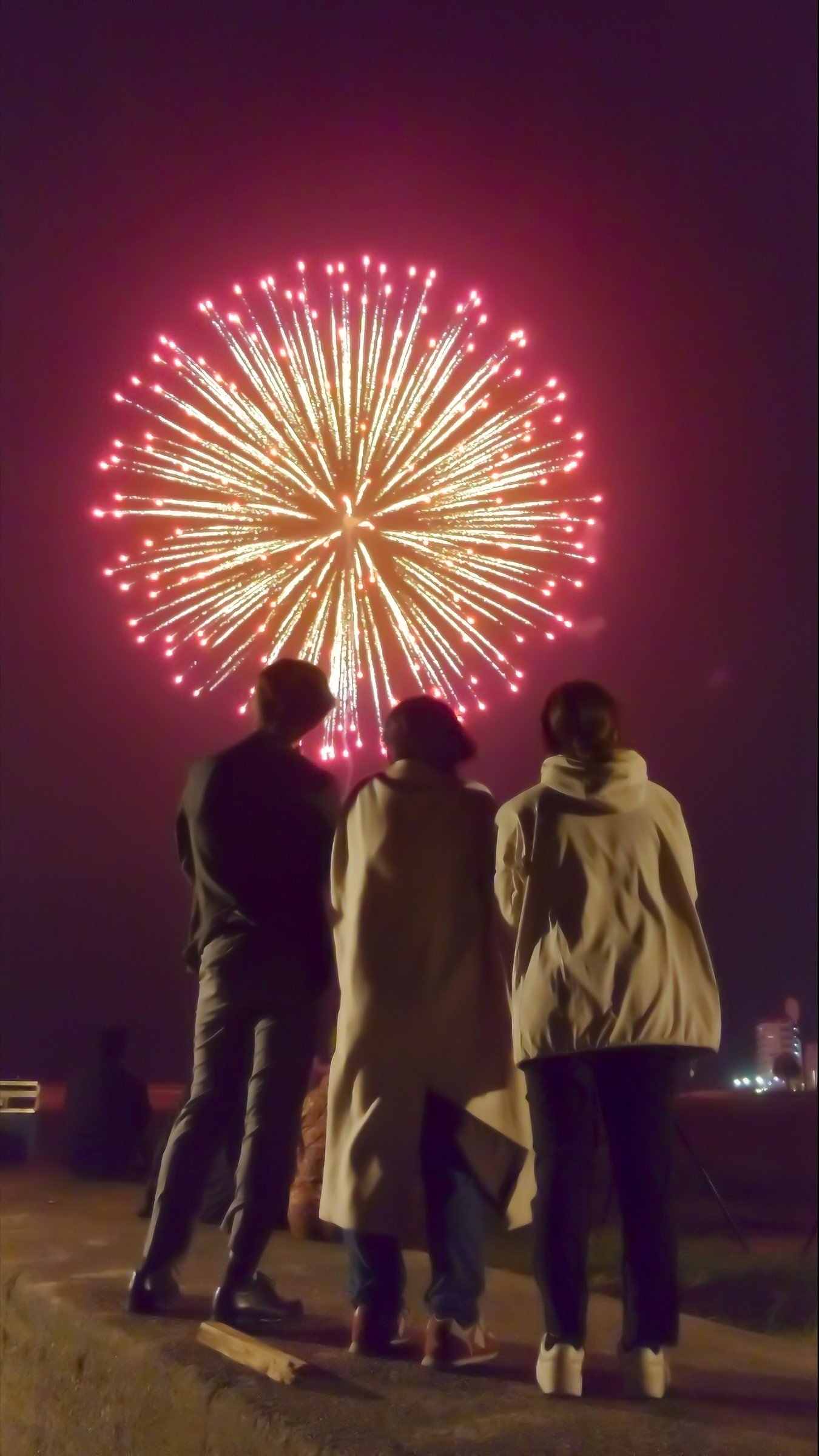 「還暦」×「花火」で新しい日本文化を目指す 「還暦花火の日」プロジェクト