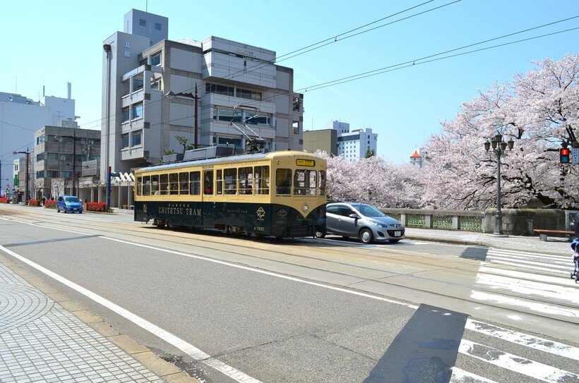 １　2014桜 (17).jpg