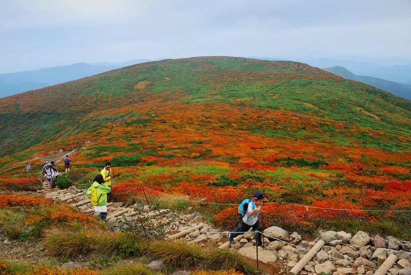 【一度は見たい紅葉百景】“神の絨毯”と称される山岳紅葉360度の大パノラマが待つ　栗駒山（1）