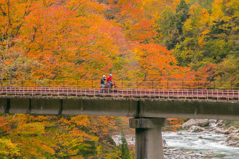 【一度は見たい紅葉百景】渓谷のダイナミックな紅葉と北アルプスの大パノラマを楽しむ　飛騨（1）
