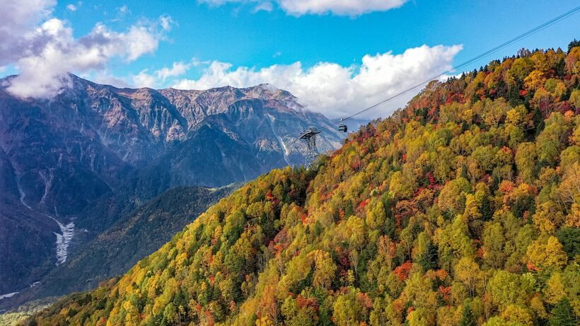 【一度は見たい紅葉百景】渓谷のダイナミックな紅葉と北アルプスの大パノラマを楽しむ　飛騨（2）