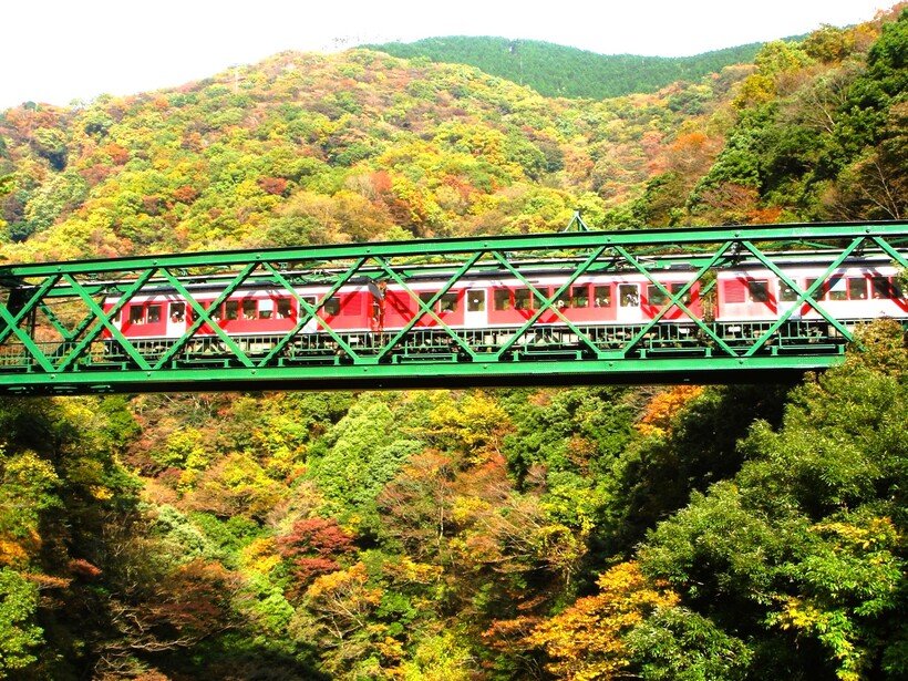 ５）箱根登山電車_早川橋梁.jpg