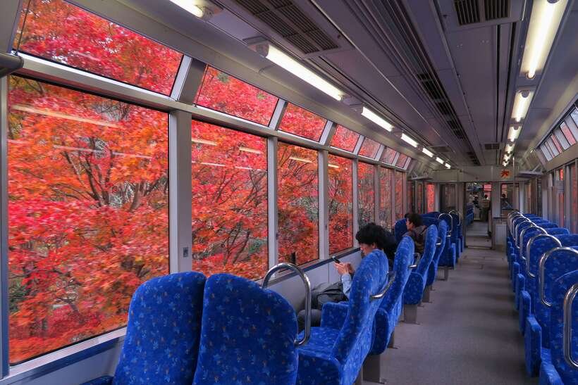 ２）紅葉【もみじのトンネル】日中_車窓.jpg