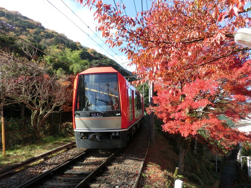 ６）箱根登山電車_アレグラ号.jpg