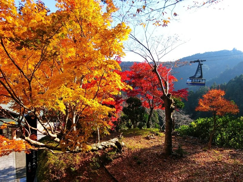 ・８．太龍寺.jpg