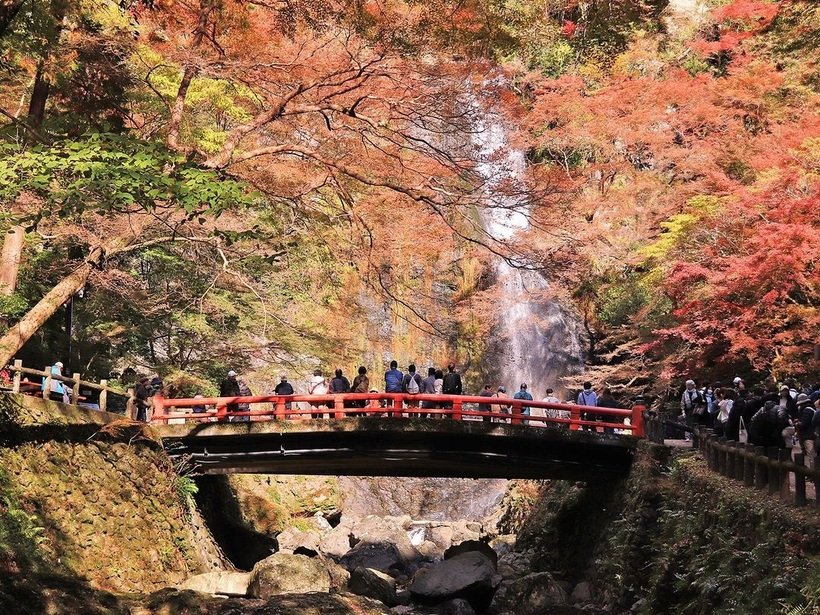 ⑤　5．箕面大滝.jpg