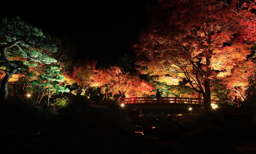 ７．由志園替.jpg