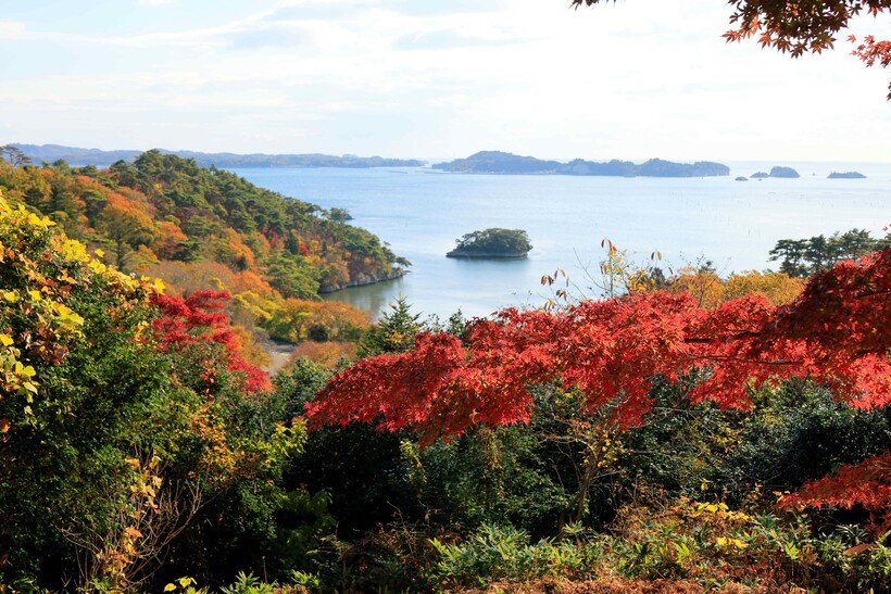 ②　松島写真替.jpg