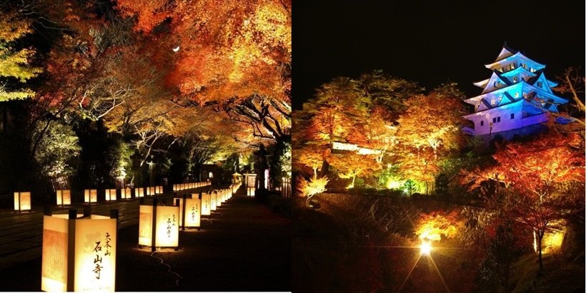 【一度は見たい紅葉百景】丸々もとおさんが選ぶ!おすすめ紅葉夜景5選